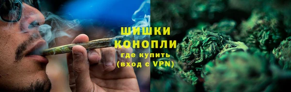 крисы Бородино