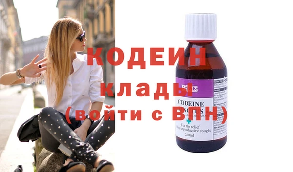крисы Бородино