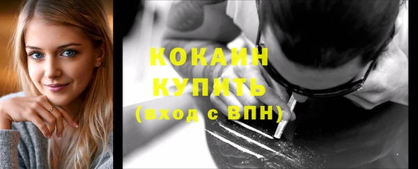 крисы Бородино