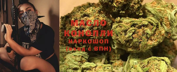 крисы Бородино