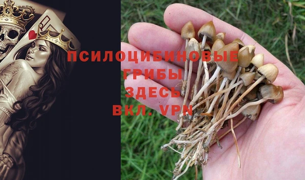 MDMA Богородицк