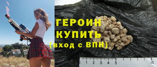 крисы Бородино