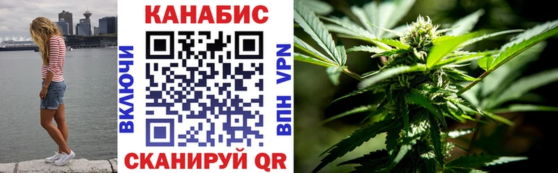 Каннабис сатива  Купить где  Неман 